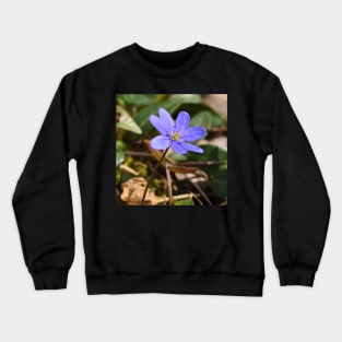 Liverflower In The Field Crewneck Sweatshirt